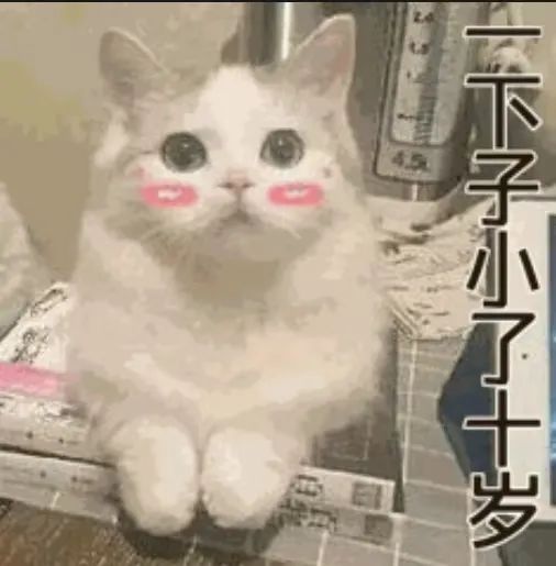 DƬ